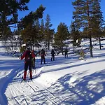 Rondane Friluftssenter Rondetunet Aldeamento Turístico Brenn